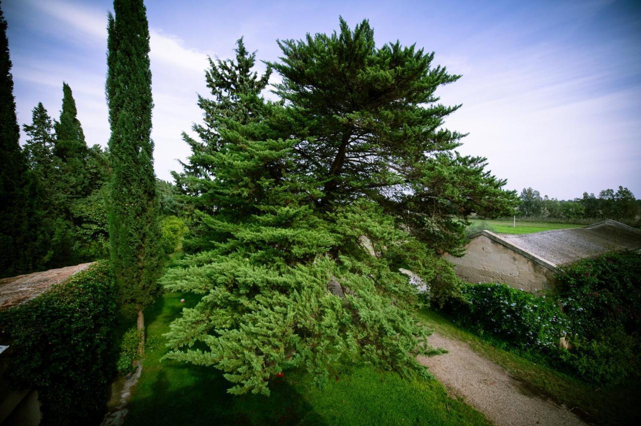 Masseria Perronello Country House Кастелланета-Марина Экстерьер фото