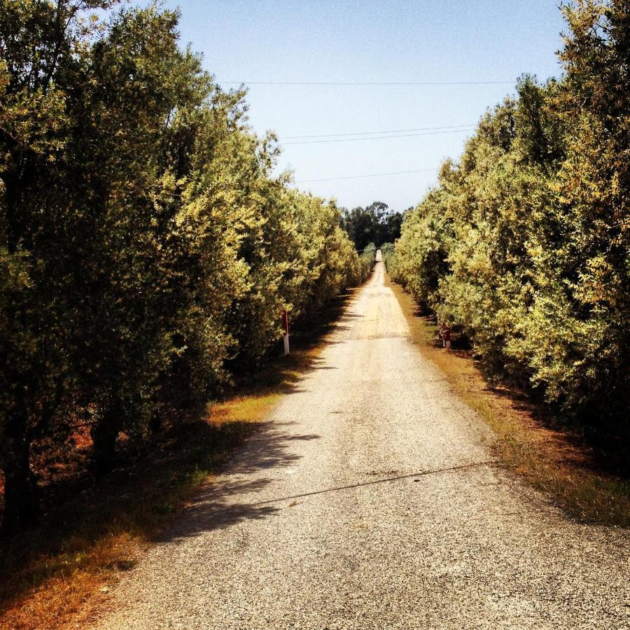 Masseria Perronello Country House Кастелланета-Марина Экстерьер фото
